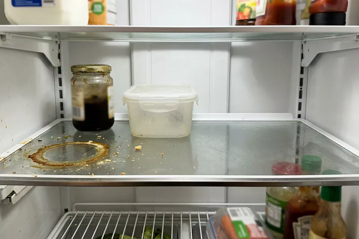 We dachten dat temperatuur de sleutel was tot een veilige koelkast. Nu blijkt: we zijn eigenlijk gewoon te vies.